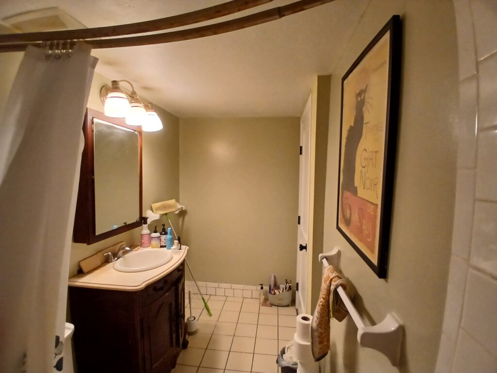 Bathroom Renovation in Brighton, MA