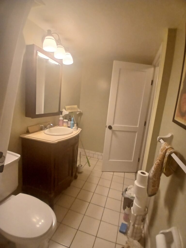Bathroom Renovation in Brighton, MA