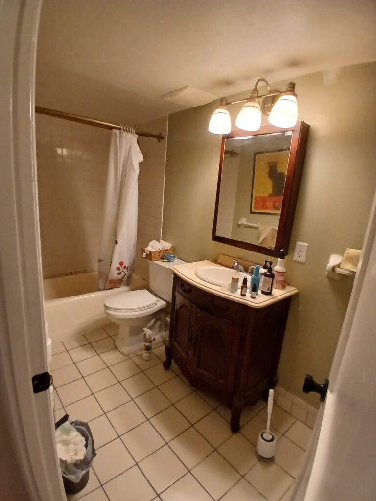 Bathroom Renovation in Brighton, MA