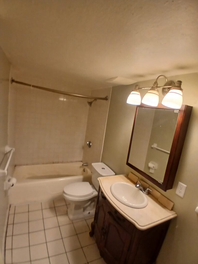 Bathroom Renovation in Brighton, MA
