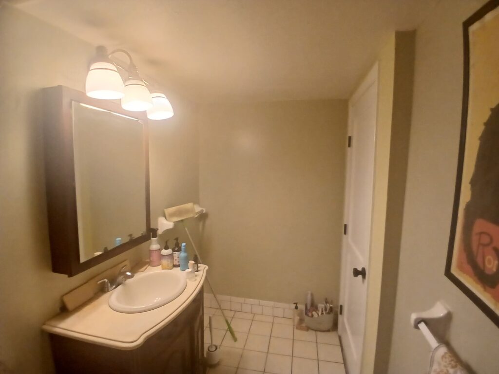 Bathroom Renovation in Brighton, MA