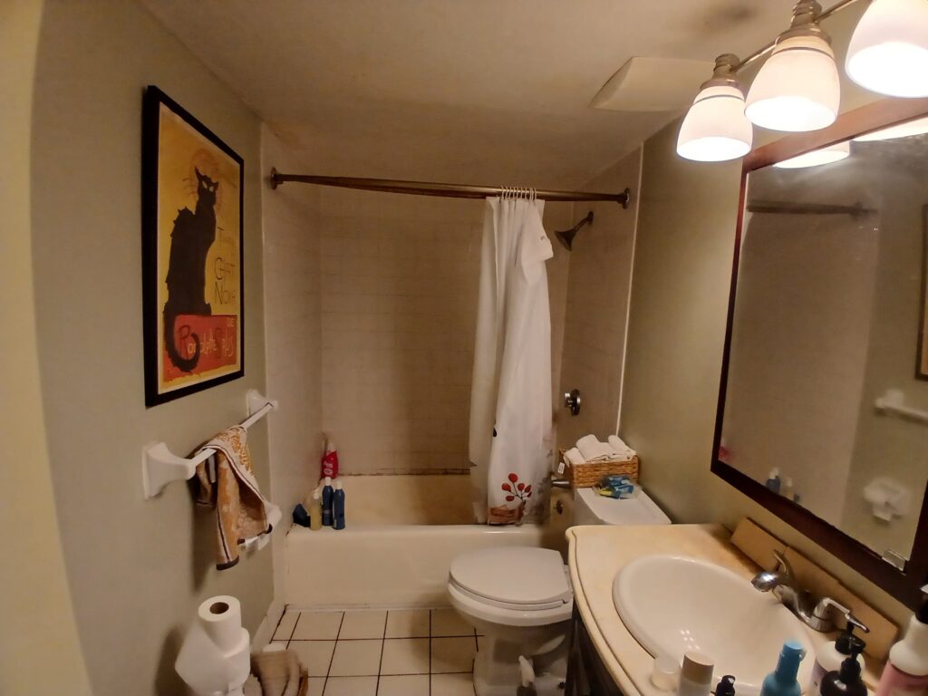 Bathroom Renovation in Brighton, MA