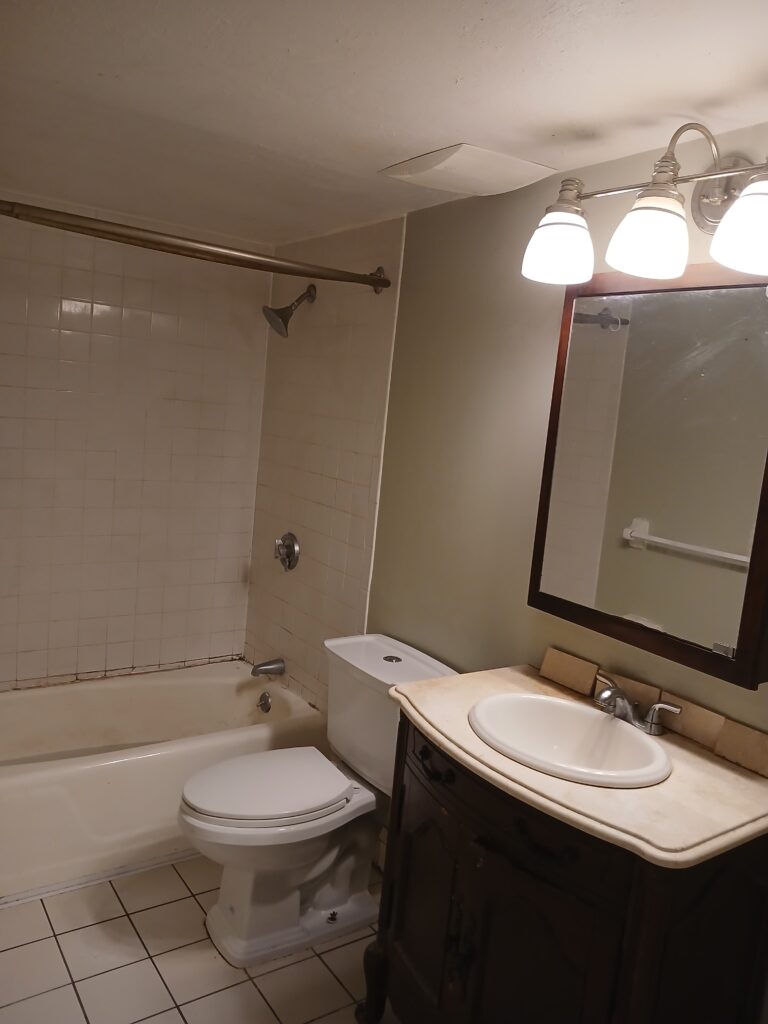 Bathroom Renovation in Brighton, MA